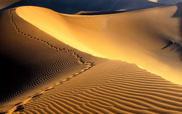چشم‌انداز مهندسی انرژی خورشیدی در ایران: تحلیلی مبتنی بر منابع و عملکرد