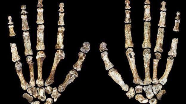 بقایای کشف شده هومو نالدی ۲۰۰ تا ۳۰۰ هزار سال قدمت دارد