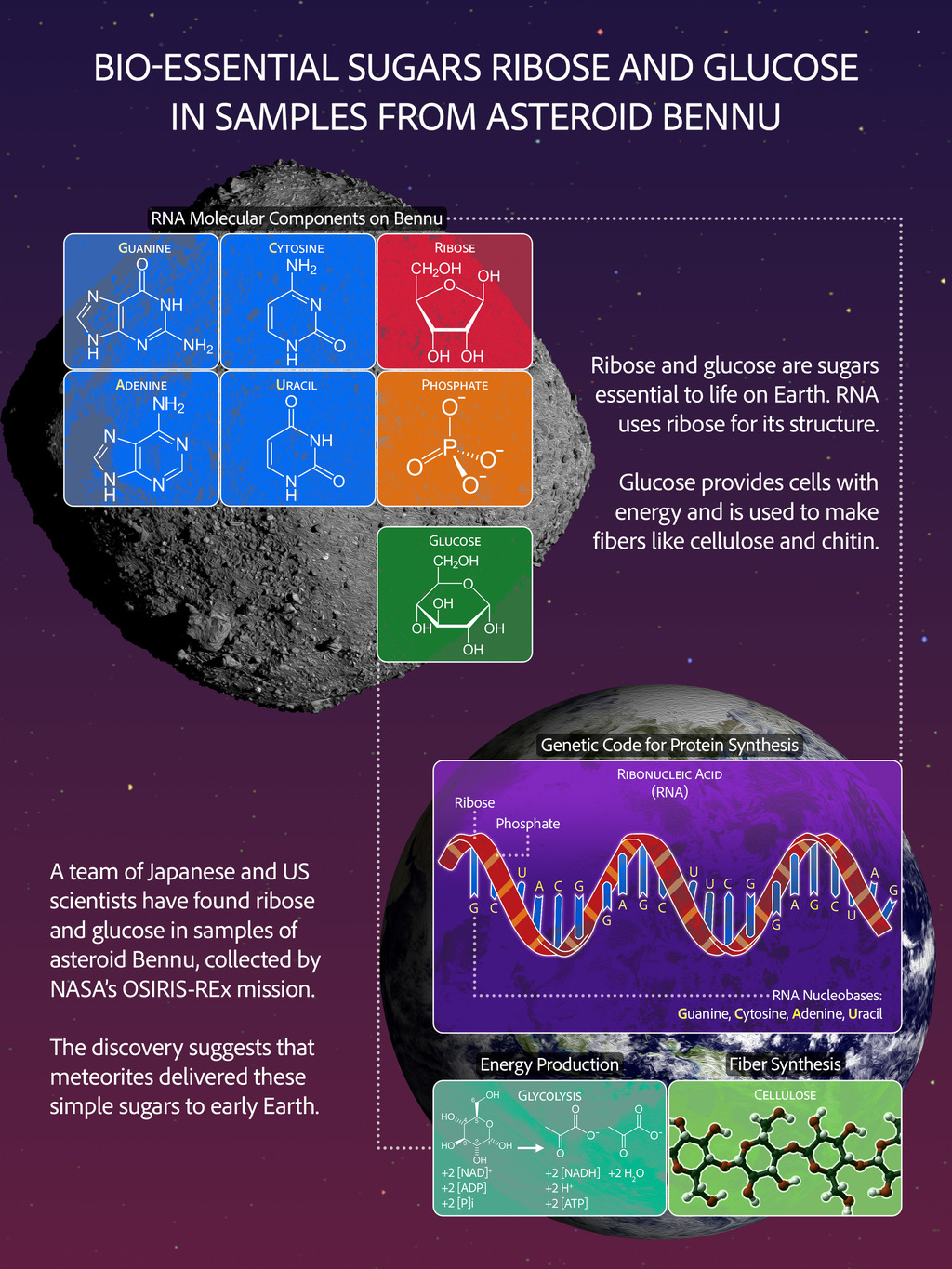 رازهای شیرین و چسبناک در قلب تاریکی: آیا "بنو" مواد پخت حیات را دزدیده است؟