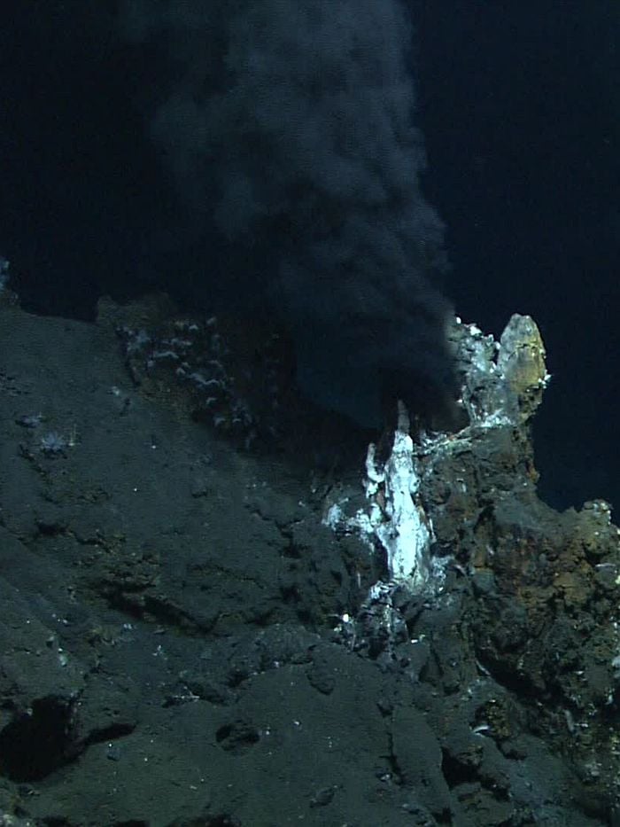 The intriguing life form Parakaryon myojinensis was discovered near a hydrothermal vent like this one in the western Pacific Ocean. (Source: MARUM, University of Bremen and NOAA-Pacific Marine Environmental Laboratory)