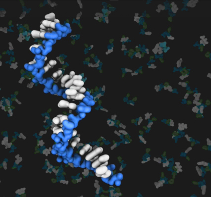 RNA چیست؟