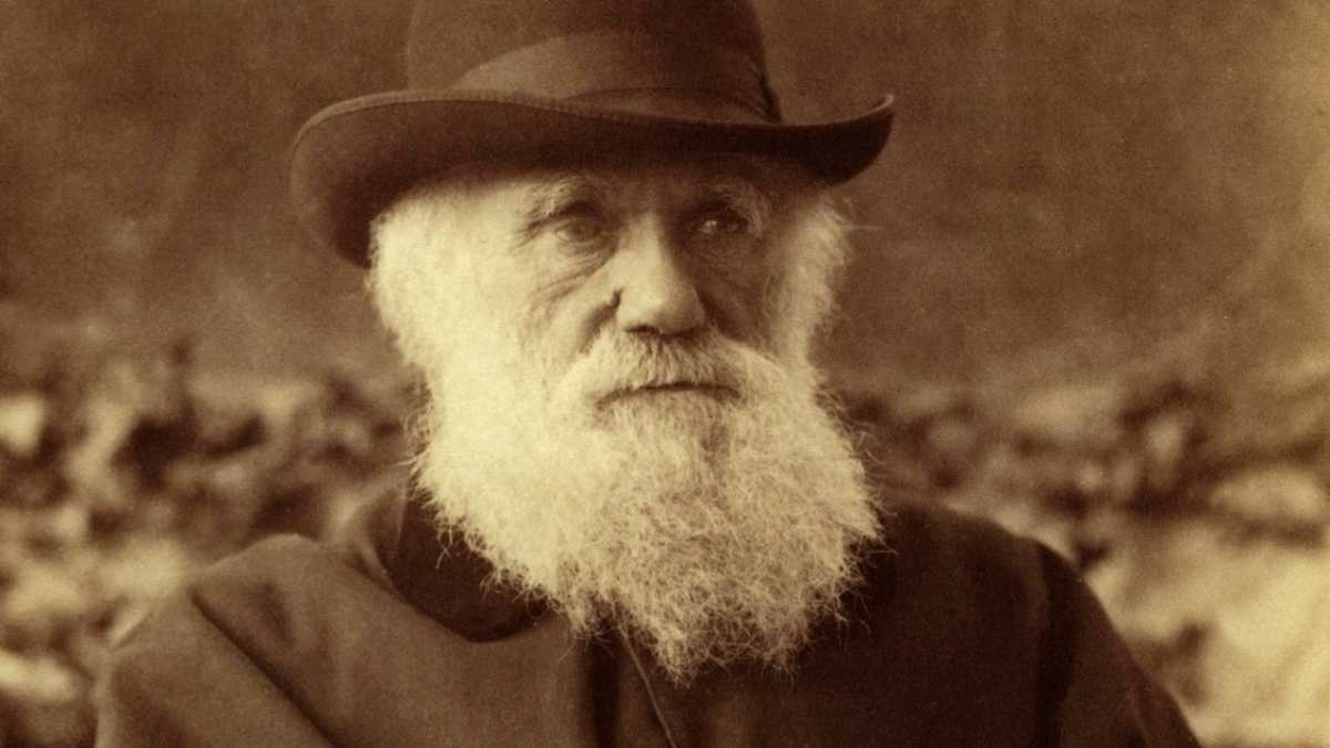 آیا زمان آن رسیده است که داروینیزم را رها کنیم؟