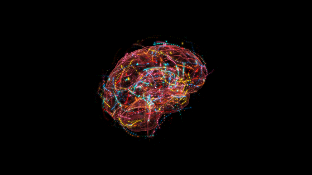 ماتیو فیشر راهی را پیشنهاد کرده است برای توضیح نقش اثرات کوانتومی بر کارکرد مغز
یک تئوری جدید توضیح میدهد چگونه حالتهای شکننده کوانتومی ممکن است ساعتها یا روزها در مغز تداوم یابند